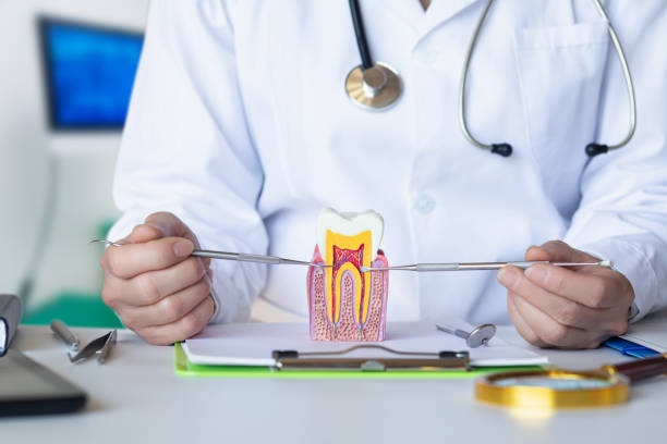 Best Cracked Tooth Emergency Dentist  in Ohioville, PA